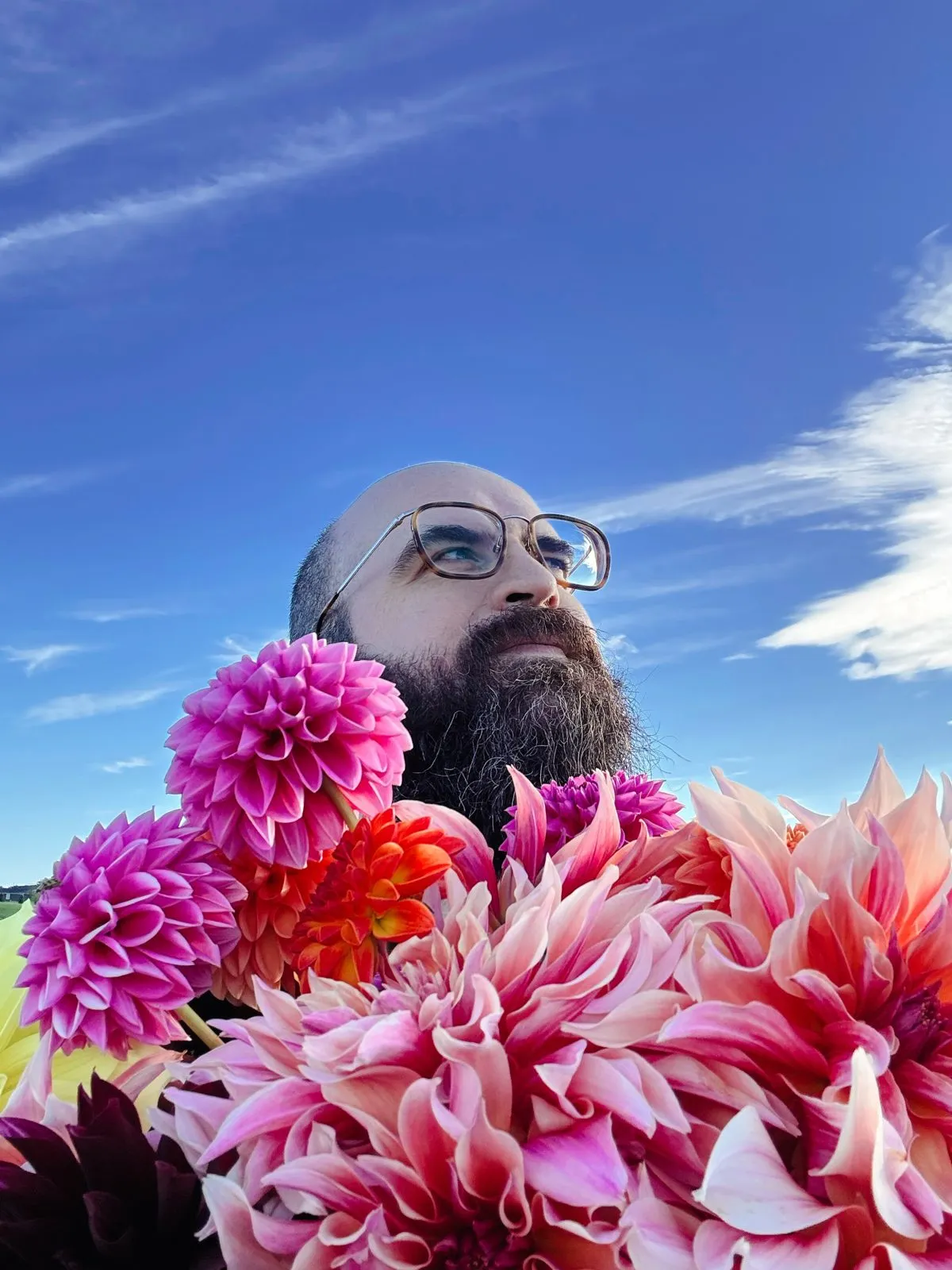 Jake peeking over a huge bunch of pink dahlias under a blue sky